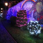 25.12.2020 Doły Biskupie. Świąteczne iluminacje na posesji Jerzego Trojanowskiego / Emilia Sitarska / Radio Kielce