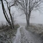 26.12.2020 Radkowice gm. Pawłów. Zima / Słuchacz