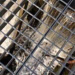 05.12.2020 Wąchock. Jaz na Kamiennej / Anna Głąb / Radio Kielce