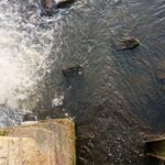 05.12.2020 Wąchock. Jaz na Kamiennej / Anna Głąb / Radio Kielce