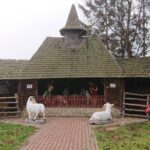 19.12.2020. Kałków.Szopka plenerowa i zwierzęta z mini zoo / Anna Głąb / Radio Kielce