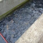 16.12.2020 Karsznice. Gospodarstwo rybackie / Ewa Pociejowska-Gawęda / Radio Kielce