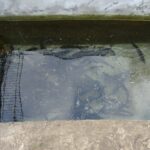 16.12.2020 Karsznice. Gospodarstwo rybackie / Ewa Pociejowska-Gawęda / Radio Kielce