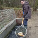 16.12.2020 Karsznice. Gospodarstwo rybackie. Na zdjęciu: Wojciech Sędek - właściciel Gospodarstwa  Rybackiego Biała Nida w Karsznicach / Ewa Pociejowska-Gawęda / Radio Kielce