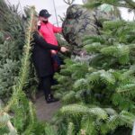 19.12.2020. Jędrzejów. Sprzedaż choinek / Ewa Pociejowska-Gawęda / Radio Kielce