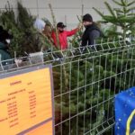 19.12.2020. Jędrzejów. Sprzedaż choinek / Ewa Pociejowska-Gawęda / Radio Kielce