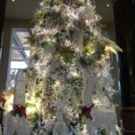 Filipiny / Majka Szura