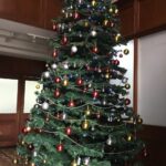 Filipiny / Majka Szura