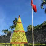 Filipiny / Majka Szura