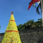 Filipiny / Majka Szura