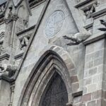 Ekwador / Grażyna Woźniczka