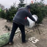 19.12.2020. Sandomierz. Sprzedaż choinek / Grażyna Szlęzak-Wójcik / Radio Kielce