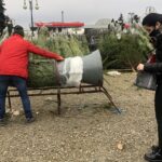 19.12.2020. Sandomierz. Sprzedaż choinek / Grażyna Szlęzak-Wójcik / Radio Kielce