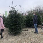 19.12.2020. Sandomierz. Sprzedaż choinek / Grażyna Szlęzak-Wójcik / Radio Kielce