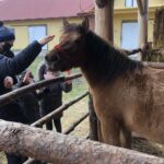 26.12.2020. Sandomierz. Żywa szopka / Grażyna-Szlęzak-Wójcik / Radio Kielce