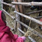 26.12.2020. Sandomierz. Żywa szopka / Grażyna-Szlęzak-Wójcik / Radio Kielce