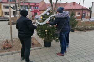 03.12.2020. Skalbmierz. Ubieranie choinek na skalbmierskim Rynku / Marta Gajda / Radio Kielce