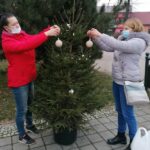 03.12.2020. Skalbmierz. Ubieranie choinek na skalbmierskim Rynku / Marta Gajda / Radio Kielce