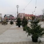 03.12.2020. Skalbmierz. Ubieranie choinek na skalbmierskim Rynku / Marta Gajda / Radio Kielce