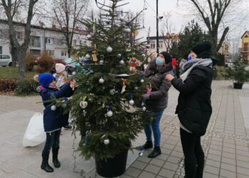 03.12.2020. Skalbmierz. Ubieranie choinek na skalbmierskim Rynku / Marta Gajda / Radio Kielce