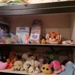 28.12.2020 Skalbmierz. „Pełna szafa” / Marta Gajda / Radio Kielce