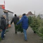 19.12.2020 Pińczów. Sprzedaż żywych choinek / Marta Gajda / Radio Kielce