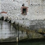 21.11.2020. Wolica. Młyn nad Czarną Nidą / Robert Felczak / Radio Kielce