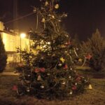 12.12.2020 Klimontów. Świąteczne dekoracje / Andrzej Borycki