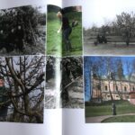 12.12.2020 Sandomierz. Najnowszy album dotyczący Seminarium Duchownego w Sandomierzu / Grażyna Szlęzak-Wójcik / Radio Kielce