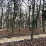 16.12.2020. Sandomierz. Rewitalizacja parku miejskiego / Grażyna-Szlęzak-Wójcik / Radio Kielce
