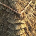 08.12.2020 Tokarnia. Park etnograficzny. Nowa strzecha na chałupie przy zagrodzie z Okołu / Jarosław Kubalski / Radio Kielce