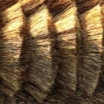 08.12.2020 Tokarnia. Park etnograficzny. Nowa strzecha na chałupie przy zagrodzie z Okołu / Jarosław Kubalski / Radio Kielce