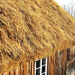 08.12.2020 Tokarnia. Park etnograficzny. Nowa strzecha na chałupie przy zagrodzie z Okołu / Jarosław Kubalski / Radio Kielce