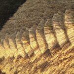 08.12.2020 Tokarnia. Park etnograficzny. Nowa strzecha na chałupie zagrody ze Złotnik / Jarosław Kubalski / Radio Kielce