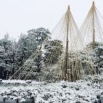 Japonia / Patrycja Yamaguchi