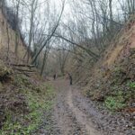 Męczennice. Prace wydobywcze wraku samolotu IŁ-2 / Emilia Sitarska / Radio Kielce