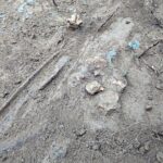 Męczennice. Prace wydobywcze wraku samolotu IŁ-2 / Emilia Sitarska / Radio Kielce