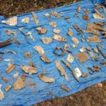 Męczennice. Prace wydobywcze wraku samolotu IŁ-2 / Emilia Sitarska / Radio Kielce