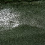 02.12.2020. Gdynia. Stan murawy uniemożliwił rozegranie meczu Arka - Korona / Krzysztof Bujnowicz / Radio Kielce