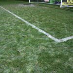 02.12.2020. Gdynia. Stan murawy uniemożliwił rozegranie meczu Arka - Korona / Krzysztof Bujnowicz / Radio Kielce