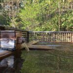 Japonia / Patrycja Yamaguchi