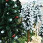 20.12.2020. Ostrowiec Św. Sprzedaż choinek na targowisku miejskim / Emilia Sitarska / Radio Kielce