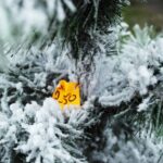 20.12.2020. Ostrowiec Św. Sprzedaż choinek na targowisku miejskim / Emilia Sitarska / Radio Kielce