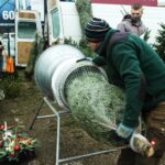 20.12.2020. Ostrowiec Św. Sprzedaż choinek na targowisku miejskim / Emilia Sitarska / Radio Kielce