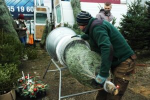 20.12.2020. Ostrowiec Św. Sprzedaż choinek na targowisku miejskim / Emilia Sitarska / Radio Kielce