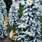 20.12.2020. Ostrowiec Św. Sprzedaż choinek na targowisku miejskim / Emilia Sitarska / Radio Kielce