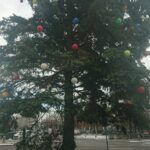 03.12.2020. Kielce. Zakładanie świątecznych ozdób na terenie Świętokrzyskiego Urzędu Wojewódzkiego / Iwona Murawska / Radio Kielce