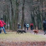 25.12.2020. Kielce. Świąteczny spacer i zabawa na lodowisku / Wiktor Taszłow / Radio Kielce