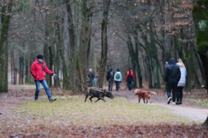 25.12.2020. Kielce. Świąteczny spacer i zabawa na lodowisku / Wiktor Taszłow / Radio Kielce