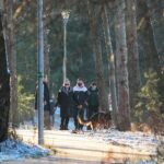 27.12.2020. Cedzyna. Pogoda sprzyja spacerom / Wiktor Taszłow / Radio Kielce